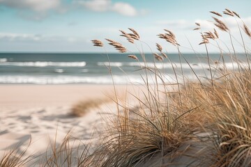 close up of a nordic beach near some grass and sand,