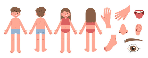 Body parts 3 cute on a white background, vector illustration.