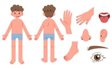 Body parts 6 cute on a white background, vector illustration.