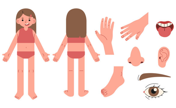 Body parts 7 cute on a white background, vector illustration.