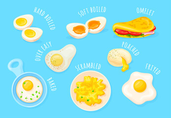 Cooking eggs method. Chicken egg preparations cook ways, fried baked soft or hard boiled scrambled omelette poached with salt for gourmet various methods, neat vector illustration - obrazy, fototapety, plakaty
