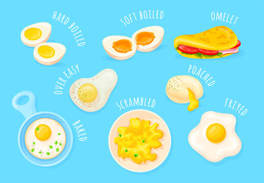 Cooking eggs method. Chicken egg preparations cook ways, fried baked soft or hard boiled scrambled omelette poached with salt for gourmet various methods, neat vector illustration