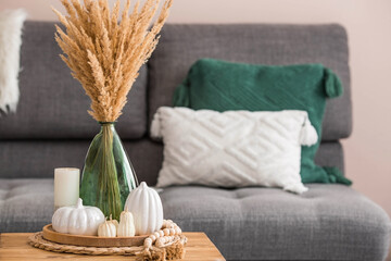 Autumn decor in the house. Scandinavian style. Dried pampas grass in a vase, white ceramic pumpkins...