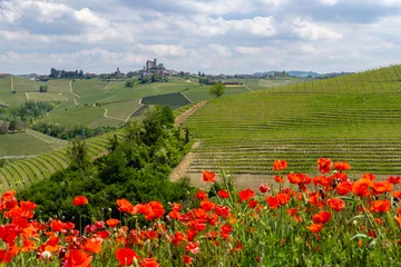 Fotobehang Typical vineyard near Castiglione Falletto, Barolo wine region, province of Cuneo, region of Piedmont, Italy © Richard Semik