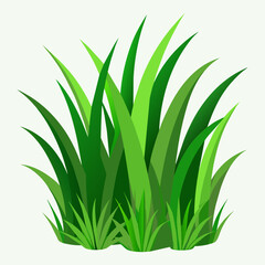 green grass vector illustration