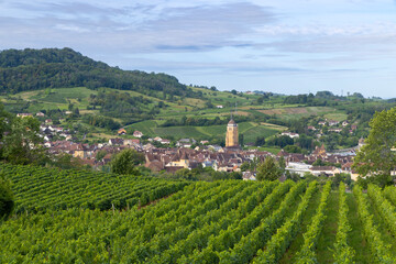 Vineyards with Arbois town, Department Jura, Franche-Comte, France - 786503079