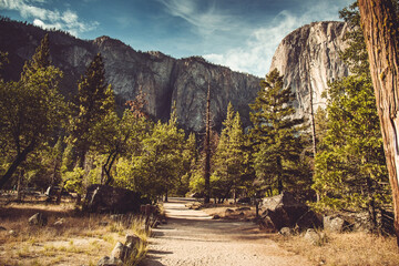 Exploring Yosemite: 4K image Drive Through Nature's Wonderland