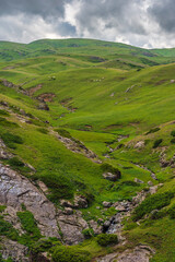 Obraz premium landscape with grass and blue sky