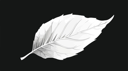 White leaf in frame isolated on black background. flat