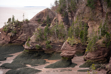 Hopewell Rocks in Bay of Fundy, no people