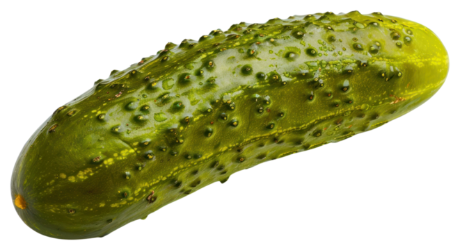 PNG Pickled cucumber vegetable plant food