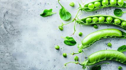 Green pea pods and pea vines on grey background. - obrazy, fototapety, plakaty