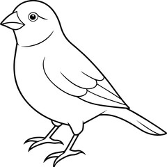 Obraz premium sketch of bird, kids coloring book page