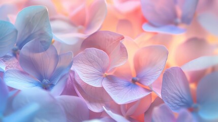 Soft blurred pastel colored flower petals for a background - obrazy, fototapety, plakaty