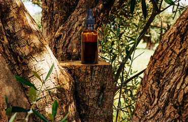 Blank amber glass essential oil bottle with pipette through olives tree. Skin care concept with natural cosmetics