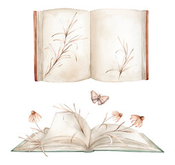 Open book with plants and butterfly watercolor illustration isolated on white background. Books green colors with a fabulous story and flower echinacea. Vintage old textbook watercolor hand drawn.
