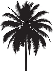 Fototapeta na wymiar Palm Tree Silhouette Vector