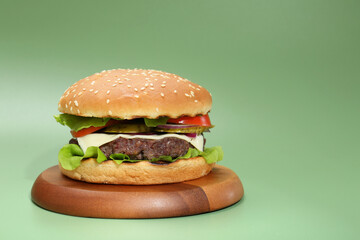 Burger with delicious patty on green background. Space for text