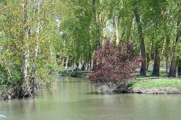 Marais Poitevin à vélo