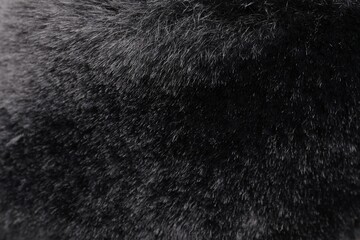 Texture of dark grey faux fur as background, closeup