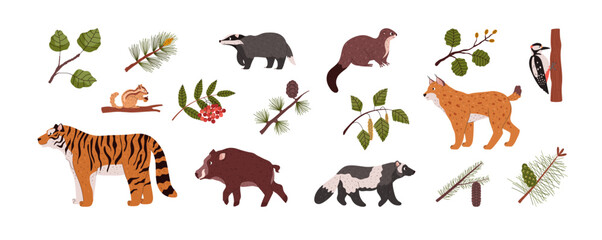 Obraz premium Taiga animals, set of cartoon style vector illustration isolated on white