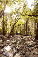 Mesmerizing Yosemite Waterfall: Captivating 4K image