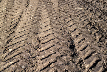 Photo of tractor tracks on the field
