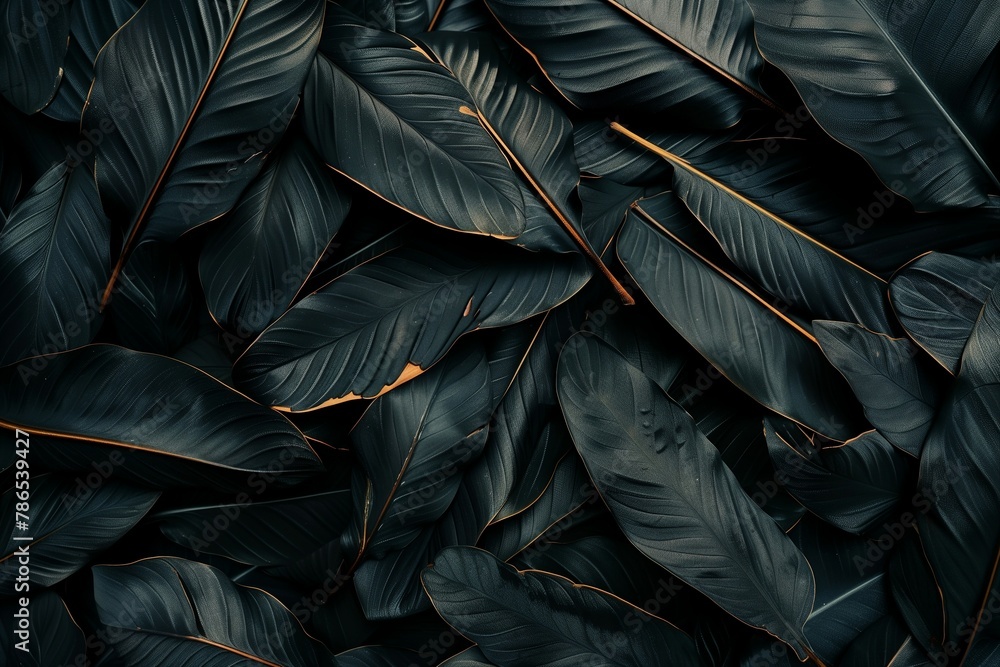 Aufkleber abstract black leaves textures arranged in a flat lay composition, creating a dark and mysterious tr