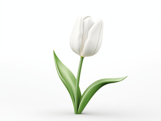 Single white tulip flower isolated on white, floral design element, illustration generated ai
