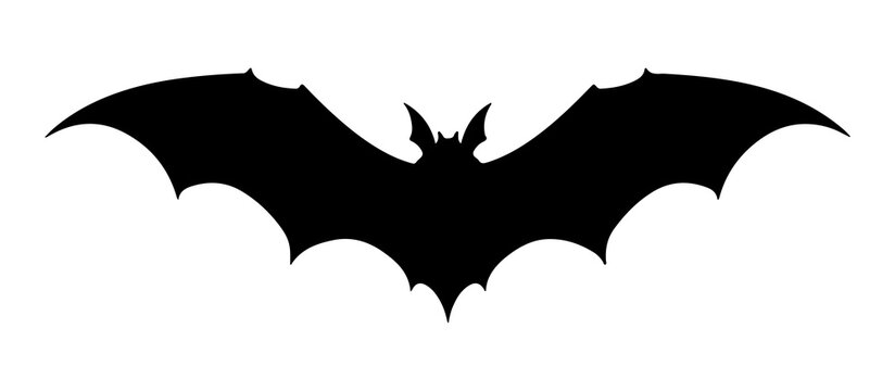 PNG  Bat silhouette logo monochrome.