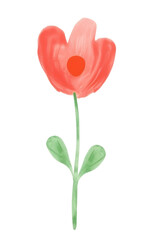 PNG  Flower painting petal tulip.