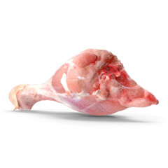 Photorealistic Raw Chicken Drumstick 3D Model PNG - Essential for Culinary Education and Food Safety Training