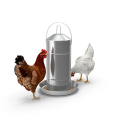 Detailed Poultry Feeder with Chickens 3D Model PNG - Ideal for Agricultural Education and Farming Simulations