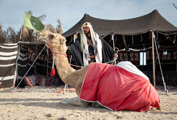 Bedouin with his camel resting in the desert