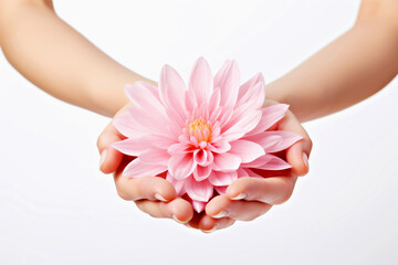 Pair of female hands gently hold delicate pink flower, its petals wide open, conveying purity, spiritual awakening and inner peace. Ideal for themes of serenity, meditation and harmony