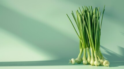 scallions A photorealistic illustration against pastel pastel green background with copy space for text or logo, beautifully illuminated by studio lighting