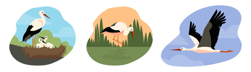 Fototapeta premium Stork birds in wildlife nesting and flying in the sky, flat vector isolated.