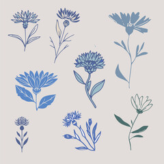 A set of vector flower illustration of a flowering branch of a plant in a flat style.