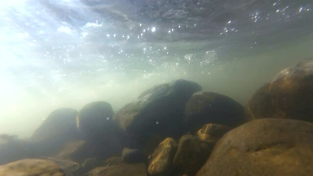 Unterwasservideo von einem Bach mit Steinen und Luftblasen im fließenden Wasser in Zeitlupe
