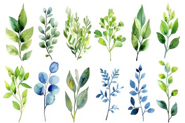 A set of watercolor leaves with a variety of colors and sizes