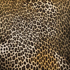 
Leopard texture animal print, leopard spots, stylish design for textiles