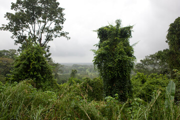 Obraz premium Mexico landscape on a cloudy winter day