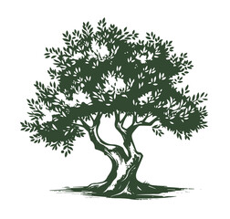 Olive tree, hand drawn style.