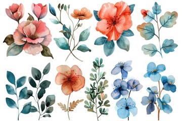 A collection of watercolor flowers in various colors and sizes - obrazy, fototapety, plakaty