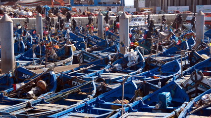 Fishing boats moored in the marina, at the port in Essaouira, Morocco