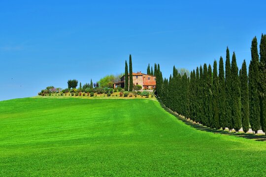 landscape of the Poggio Covilli farmhouse immersed in the greenery of the Val d'Orcia in Siena, Tuscany, Italy