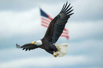 Fototapeta premium A majestic eagle soaring in the sky with an American flag prominently displayed in the background, symbolizing strength and freedom, patriotic, with copy space