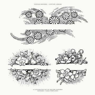 Floral Banner Divider Line Art Illustrations for Wedding Invitations