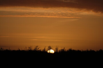 Obraz premium Sonnenaufgang am 17.03.2024