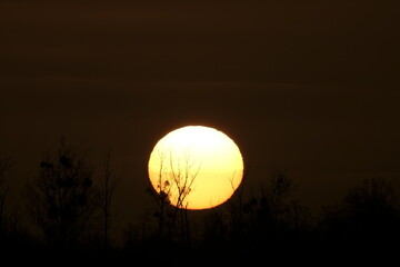 Sonnenaufgang am 17.03.2024